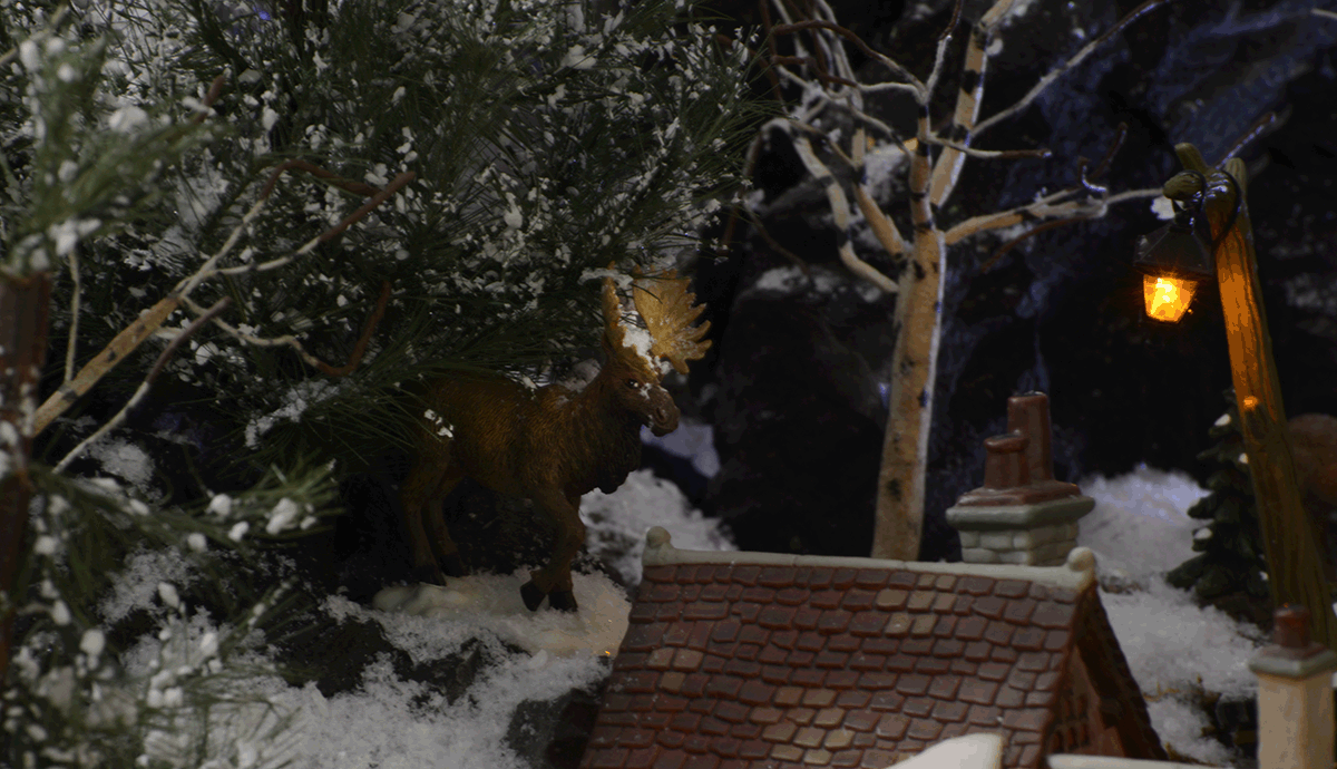 moose