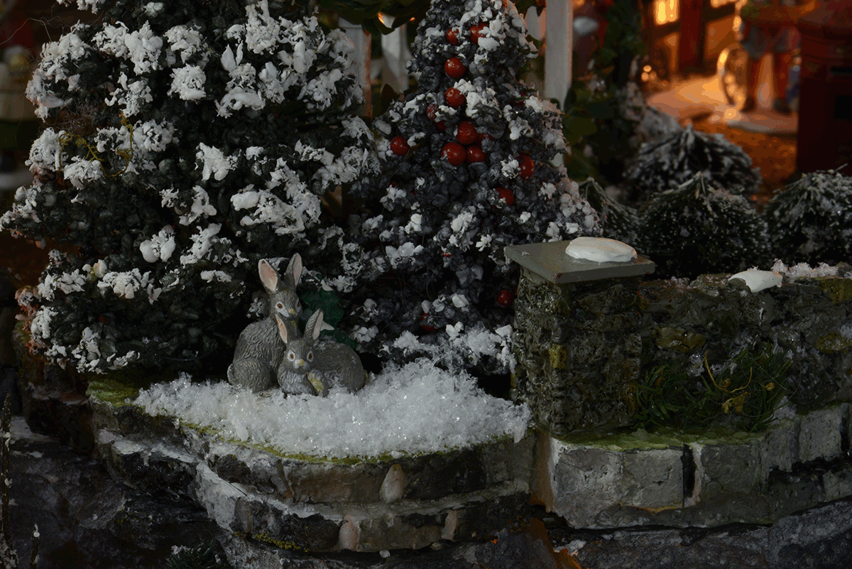 rabbits