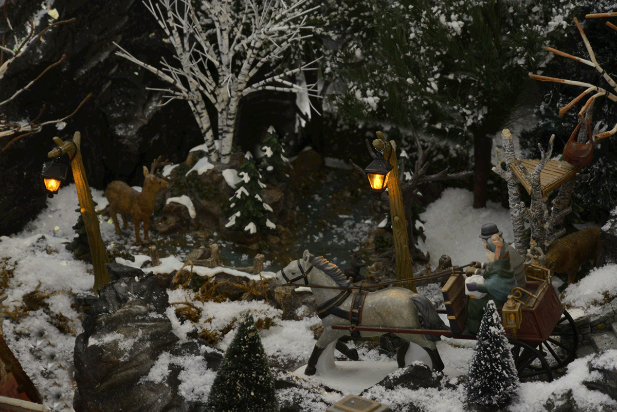 pond