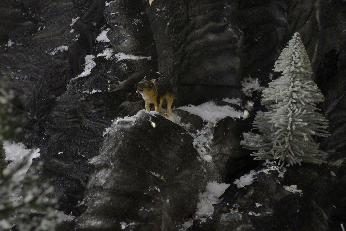 wolf